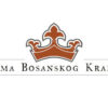 TRAGOVIMA BOSANSKOG KRALJEVSTVA