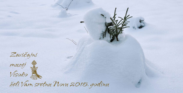 Sretna Nova 2015. godina