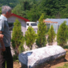Sanacija nekropole stećaka u Mjesnoj zajednici Radovlje