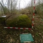 Procesom popisivanja stećaka na području općine Visoko