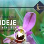 “Orhideje i njihova staništa u Zeničko-dobojskom kantonu”