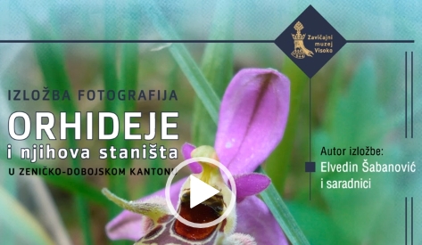 “Orhideje i njihova staništa u Zeničko-dobojskom kantonu”